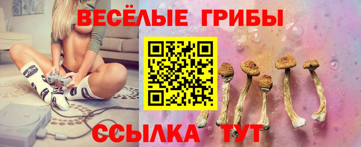 Галлюциногенные грибы MAGIC MUSHROOMS  Вход с VPN  Кунгур  Псилоцибиновые грибы Psilocybine cubensis 