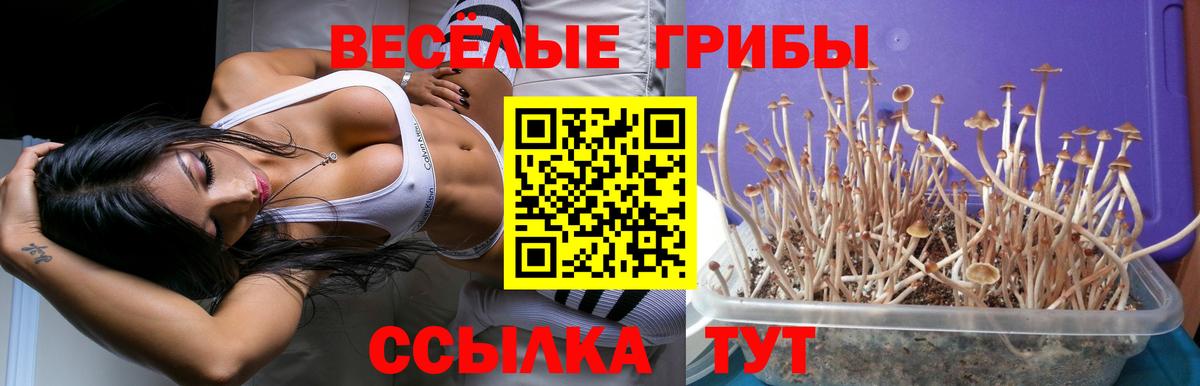 Псилоцибиновые грибы мухоморы Кунгур